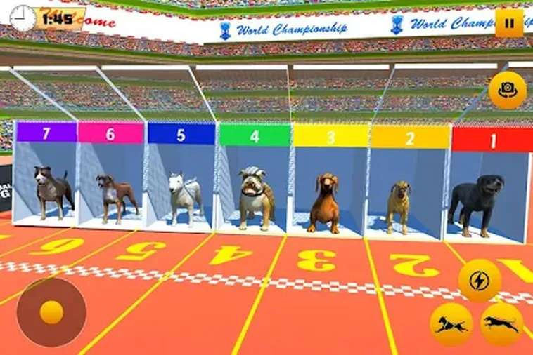 Cách Chơi Game Nhanh Đua Chó Tại Sunwin Dành Cho Người Mới Bắt Đầu
