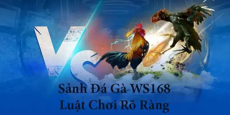 Cách Chơi Đá Gà Ws168 Tại Sunwin Chuẩn Xác An Toàn Cho Người Mới