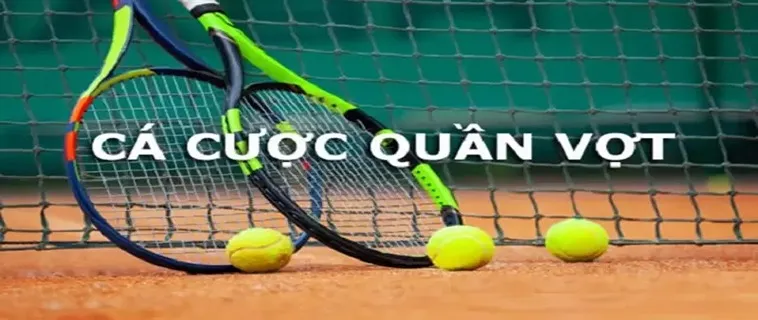 Tìm Hiểu Cá Cược Quần Vợt Sunwin Trải Nghiệm Thể Thao Đỉnh Cao Cùng Tỷ Lệ Hấp Dẫn